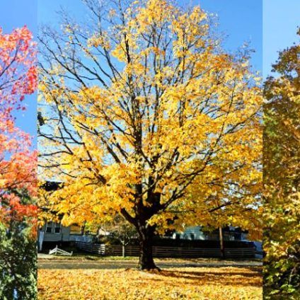 baptist church woodbury new jersey