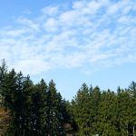 central baptist church woodbury