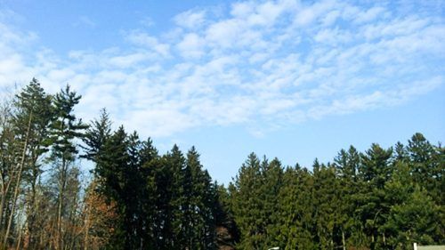 central baptist church woodbury