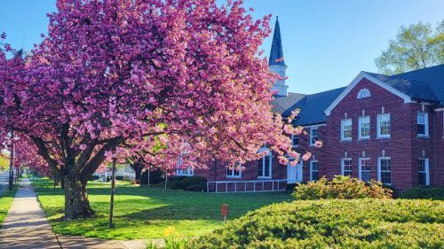 Spring 2023 in CBC Woodbury