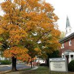 Pastor's Message - November 2025