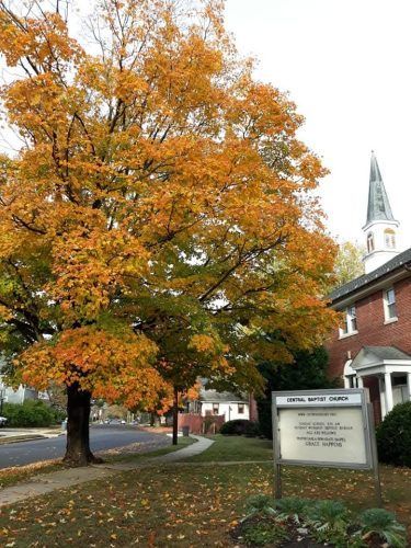 Pastor's Message - November 2025